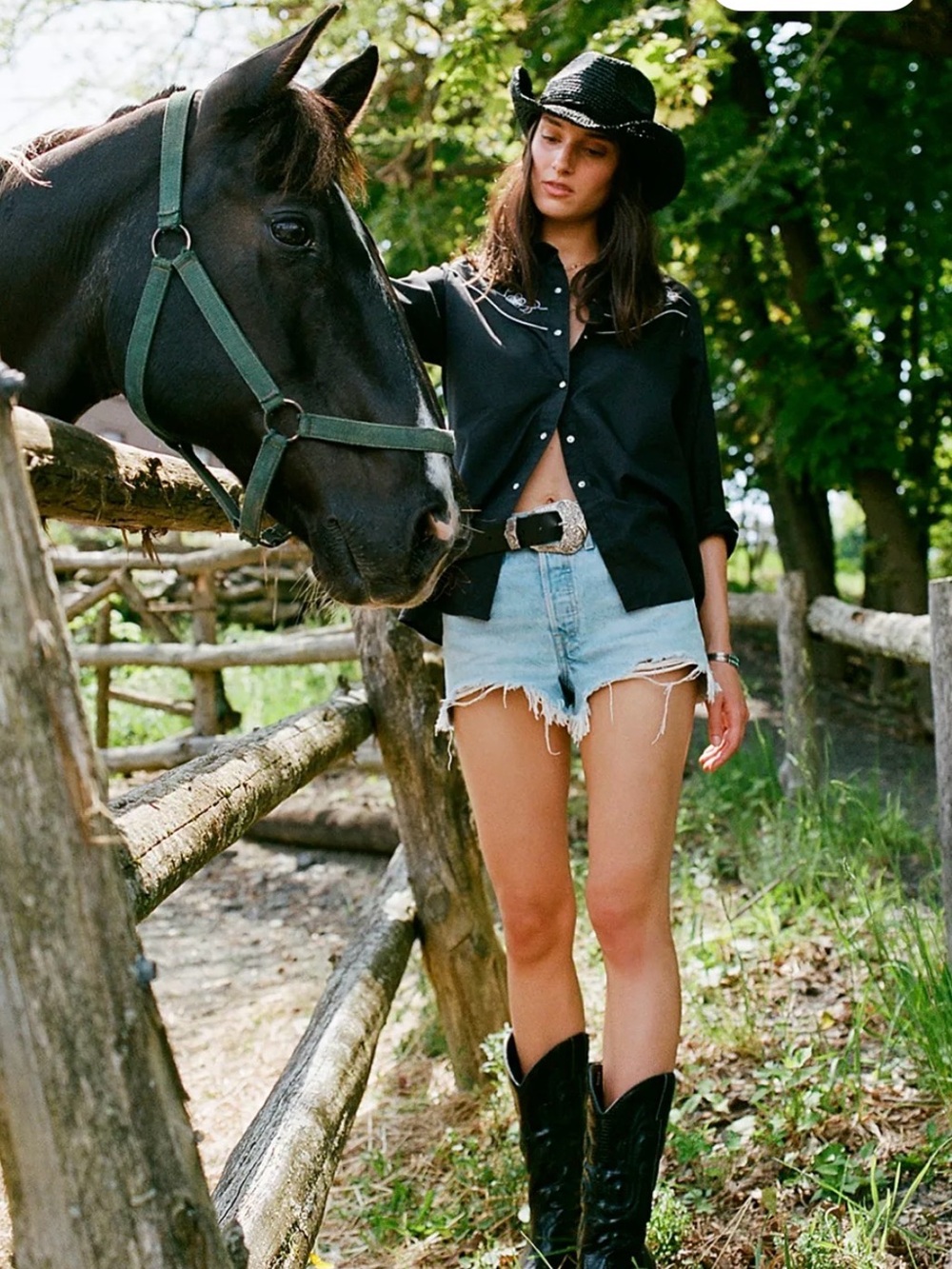 Levi's 501 Denim Shorts - Women